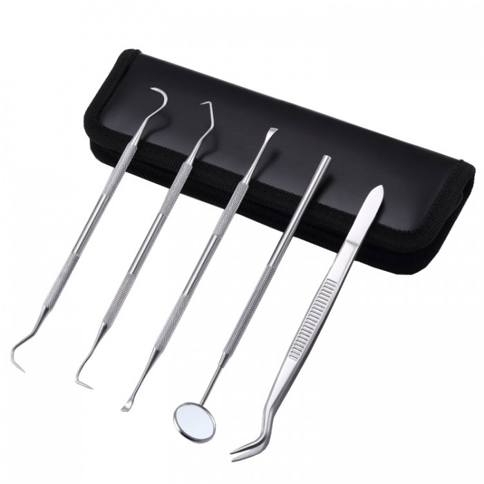 5pièces / kit hygiène Soins dentaires dents Oral Bouche Scaler Miroir faucille Outils à main