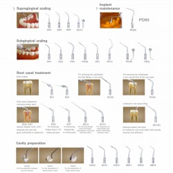 Woodpecker® DTE D7 Détartreurs ultrasoniques dentaires sans lumiere conpatible SATELEC/NSK