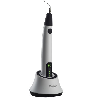 Denjoy iUe 1 endo activator (ultrasonic activator)