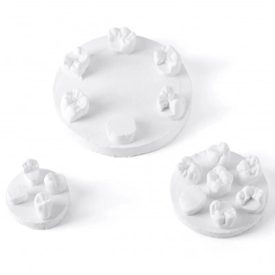 Kit de formation à la morphologie dentaire (3 pièces/sac) : modèles de positions U6/L6/U4 (gypse/résine)