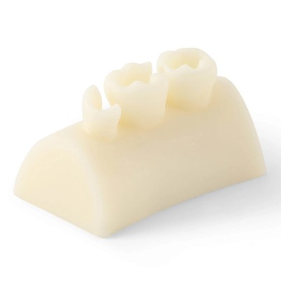 Bloc d'exercice dentaire en résine composite pour obturation des dents