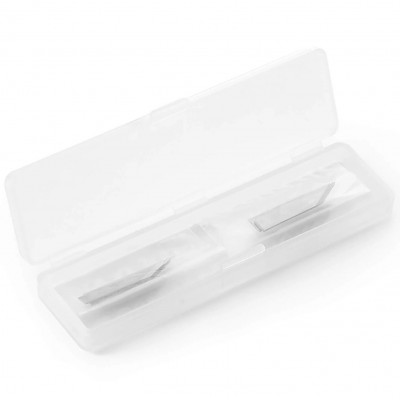 Lames de sculpture pour stylo de gravure ultrasons (10 pièces/boîte)