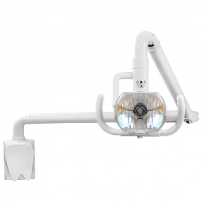 Lampe buccale à lumière froide murale dentaire 50 W, lampe d'examen dentaire