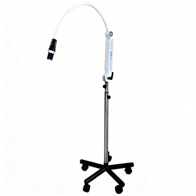 Lampe d'examen dentaire LED KWS KD-2005W-4, lampe opératoire réglable avec télécommande