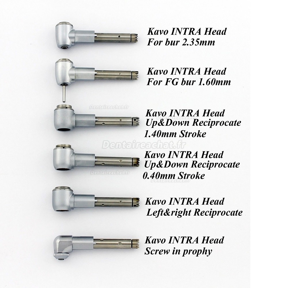 KaVo pour INTRA Tête contre-angle Pour la préparation dentaire Prophylaxie Endodontie