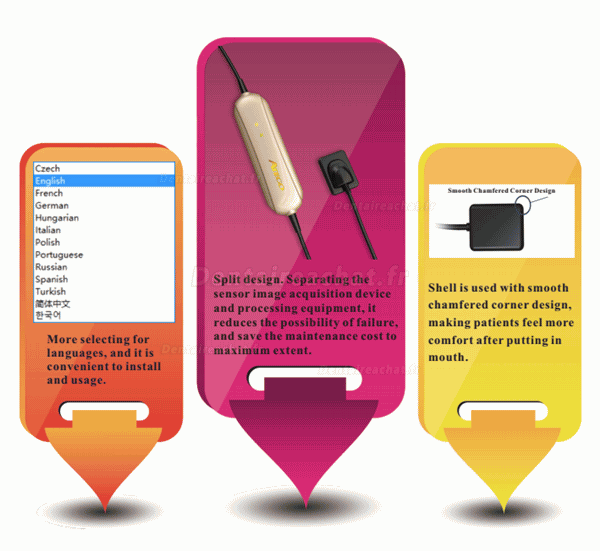 ATECO® AT-301 capteur rvg dentaire pour radiographie numérique dentaire