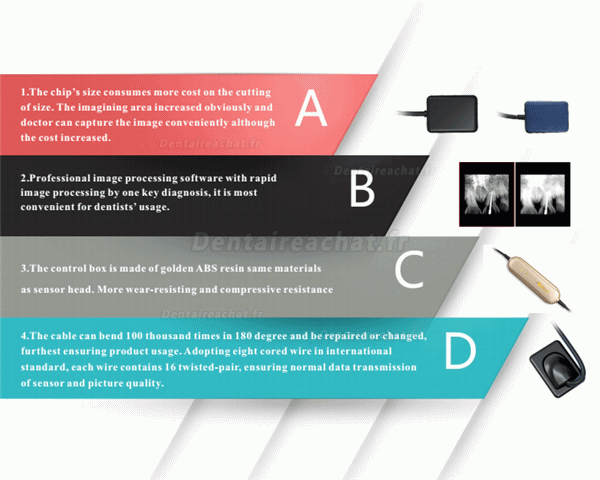 ATECO® AT-301 capteur rvg dentaire pour radiographie numérique dentaire