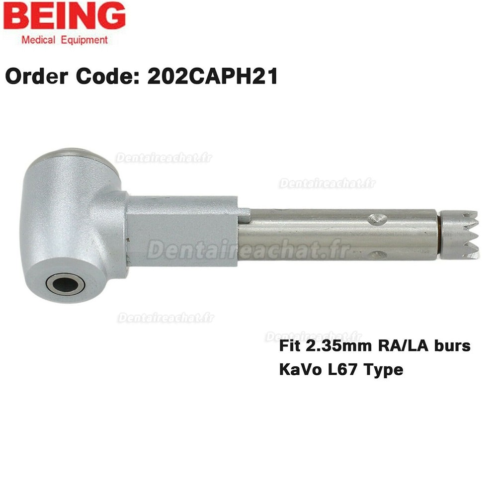 BEING Tête de rechange contre-angle pour KaVo L67 L80 L31