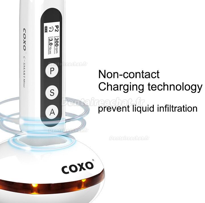 YUSENDENT COXO C-Smart-Mini Moteur Endodontie Portable Dentaire Avec Reciproc