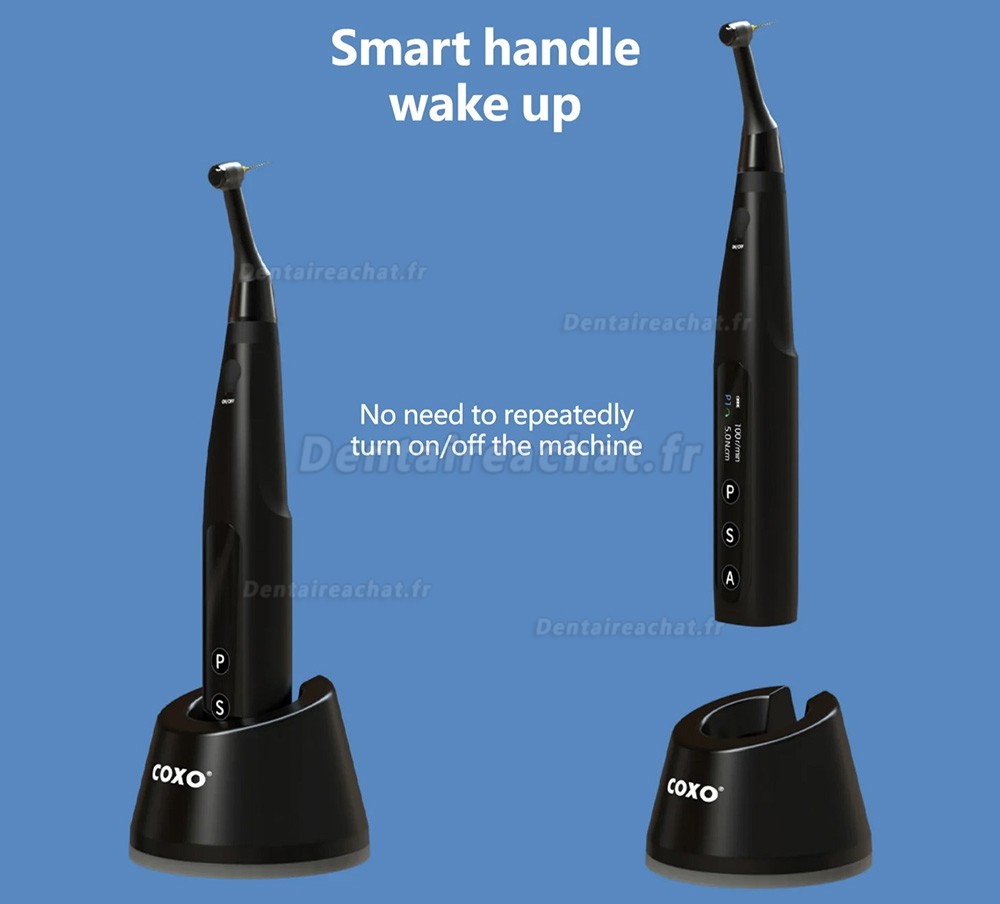 Moteur Endo sans fil COXO C-Smart Mini AP+ avec localisateur d'apex intégré
