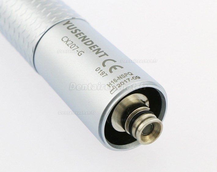 YUSENDENT® CX207-GN-SP turbine dentaire tête standard avec lumiers NSK compatible (raccord rapide non fourni avec la turbine)