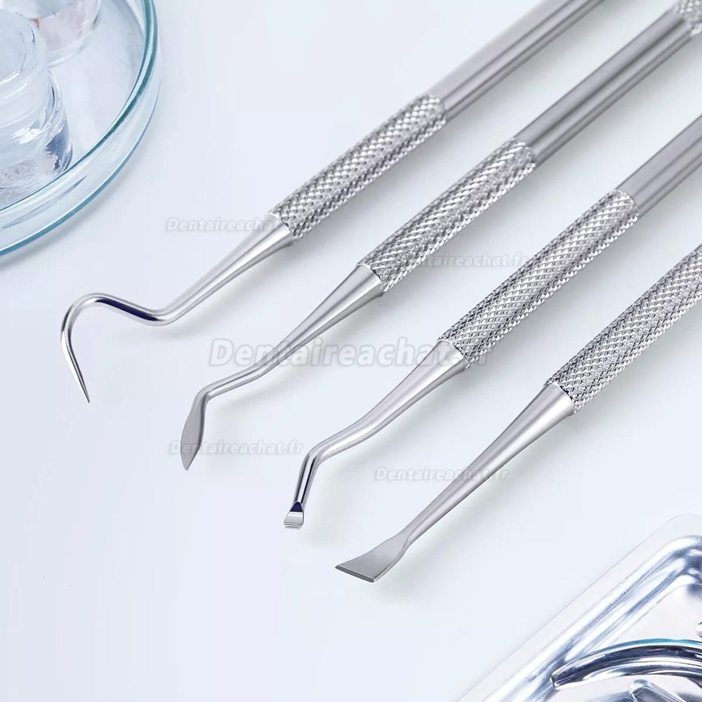 Kit de 6 outils de dentiste, Kit d'outils de nettoyage et de blanchiment dentaires