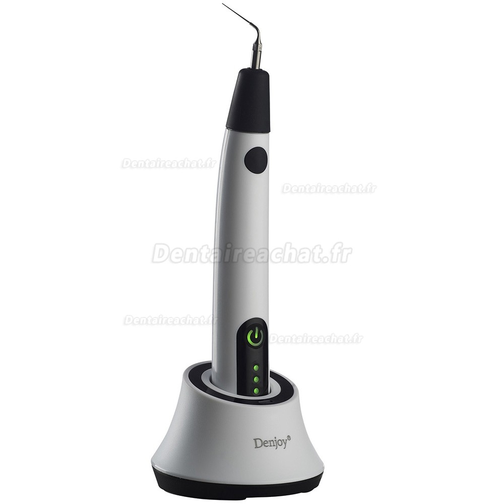 Denjoy iUe 1 endo activator (ultrasonic activator)