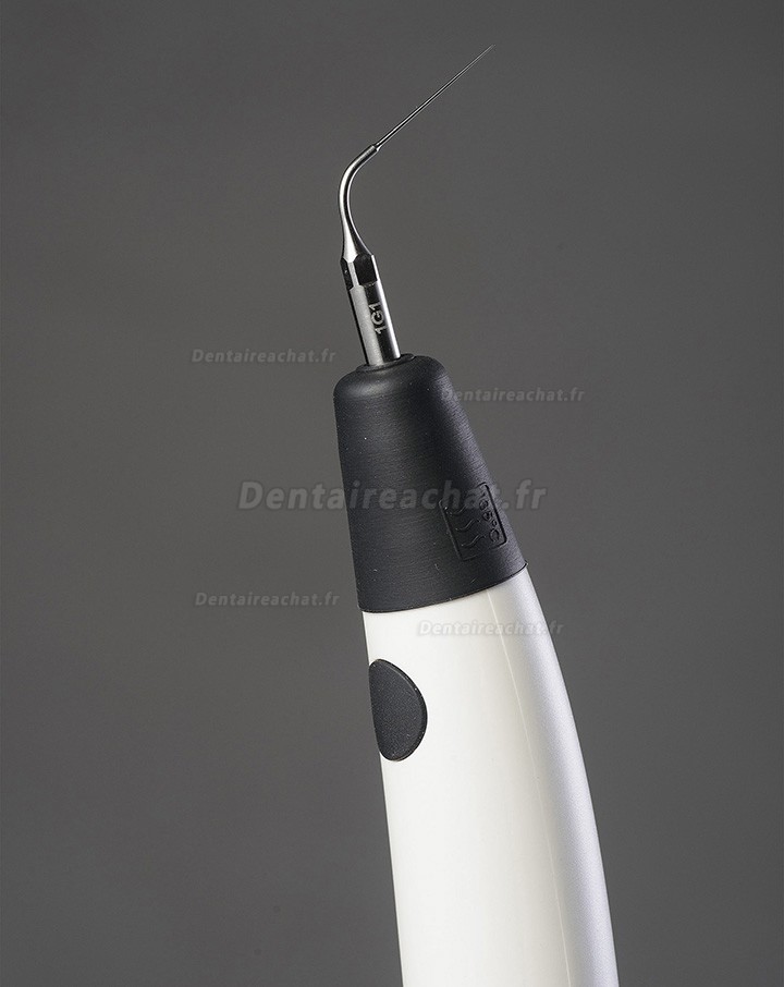 Denjoy iUe 1 endo activator (ultrasonic activator)