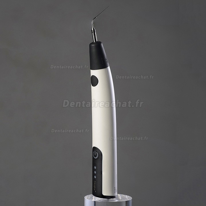 Denjoy iUe 1 endo activator (ultrasonic activator)