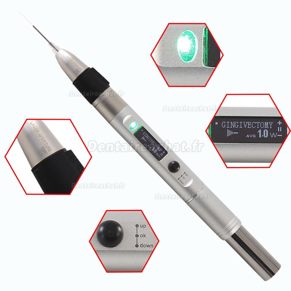 Laser portatif laser diode dentaire (stylo laser à diode dentiste)