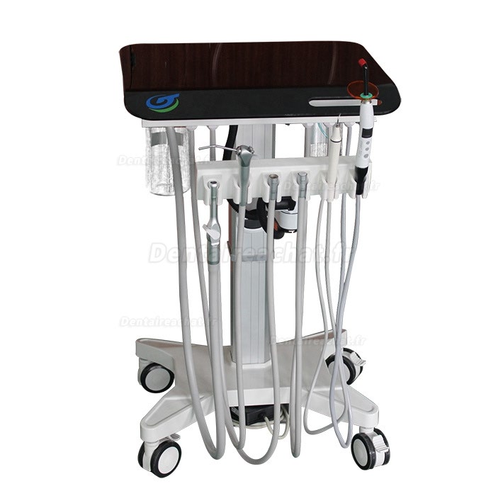 Greeloy GU-P 302S Réglable unit dentaire(cart) pour soins ambulatoires