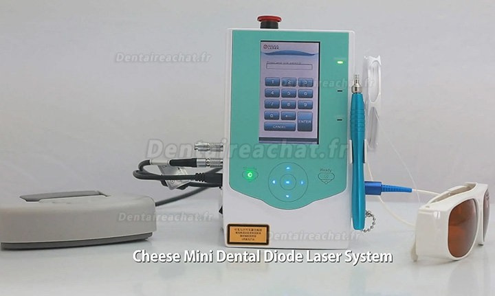 Mini laser à diode dentaire Gigaa Laser CHEESE 4-10W 810/940/980nm