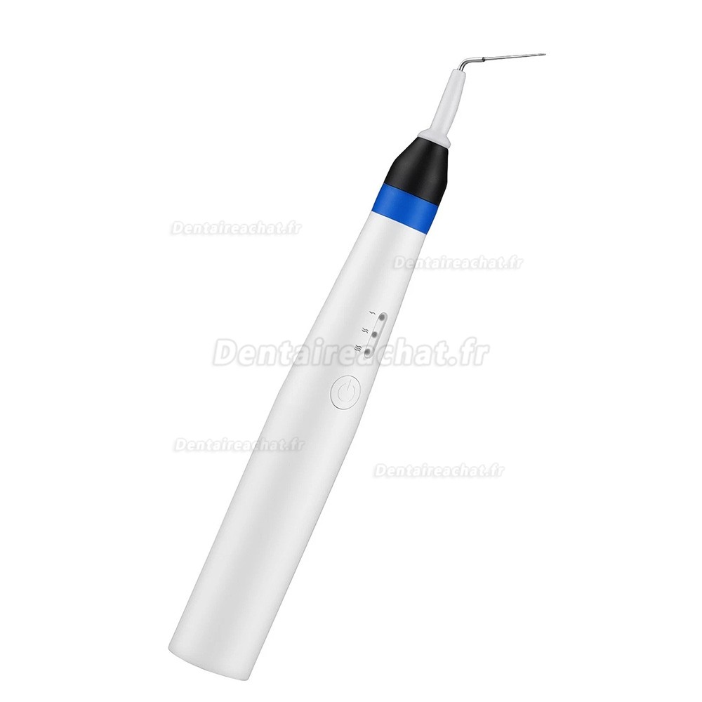 Coupe gutta-percha endodontique à chauffage rapide avec 2 embouts Coupe gutta-percha endodontique à chauffage rapide avec 2 embouts