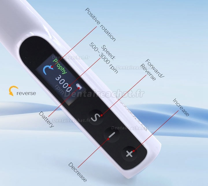 Contre-angle prophylaxie électrique dentaire Pivotant à 360° + 2 cupules en caoutchouc