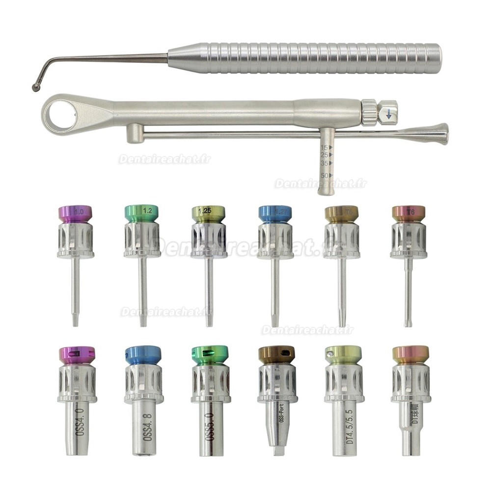 Kit Prothétique Implant Dentaire Universel Tournevis de Pilier Dentaire avec Clé Dynamométrique