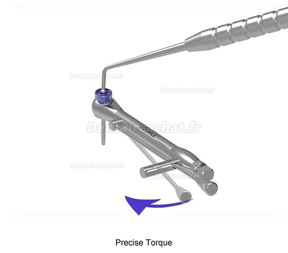 Kit Prothétique Implant Dentaire Universel Tournevis de Pilier Dentaire avec Clé Dynamométrique