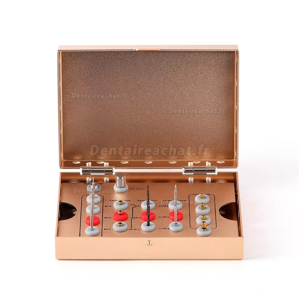 Kit de retrait de vis d'implant dentaire en acier inoxydable (tournevis à tige/forets/guide)
