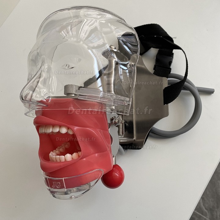 Jingle C6-3 Mannequin de formation dentaire modèle de tête fantôme compatible Nissin Kilgore