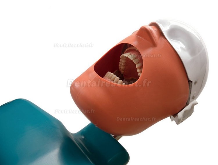 Jingle JG-C4 Modèle de simulation de cabinet dentaire tête phamtom de simulation (Fixer sur de fauteuil dentaire)