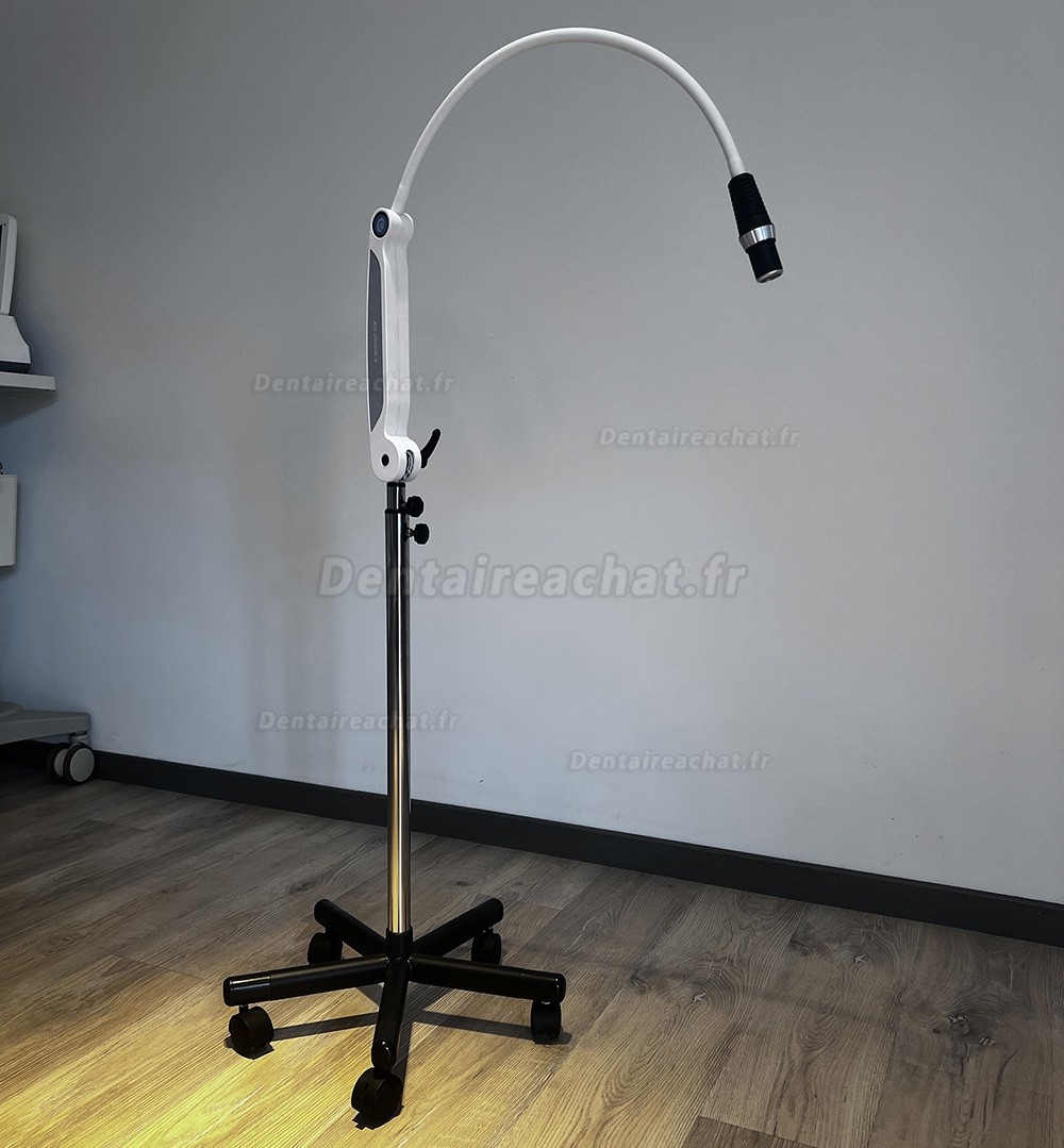 Lampe d'examen dentaire LED KWS KD-2005W-4, lampe op&eacute;ratoire r&eacute;glable avec t&eacute;l&eacute;commande