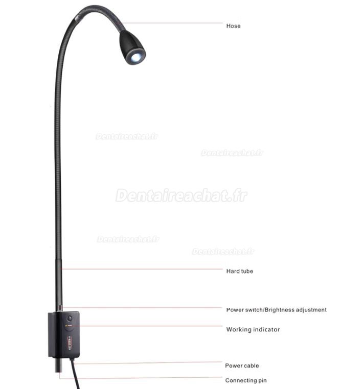 KWS KD-2003W-3 Lampe d'examen à haute luminosité pour les soins dentaires médicaux