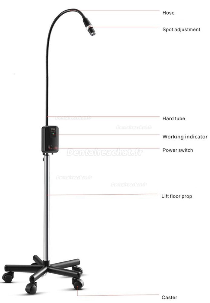 KD-2005W-1 5W LED Lampe d'examen médicale dentaire mobile à haute luminosité