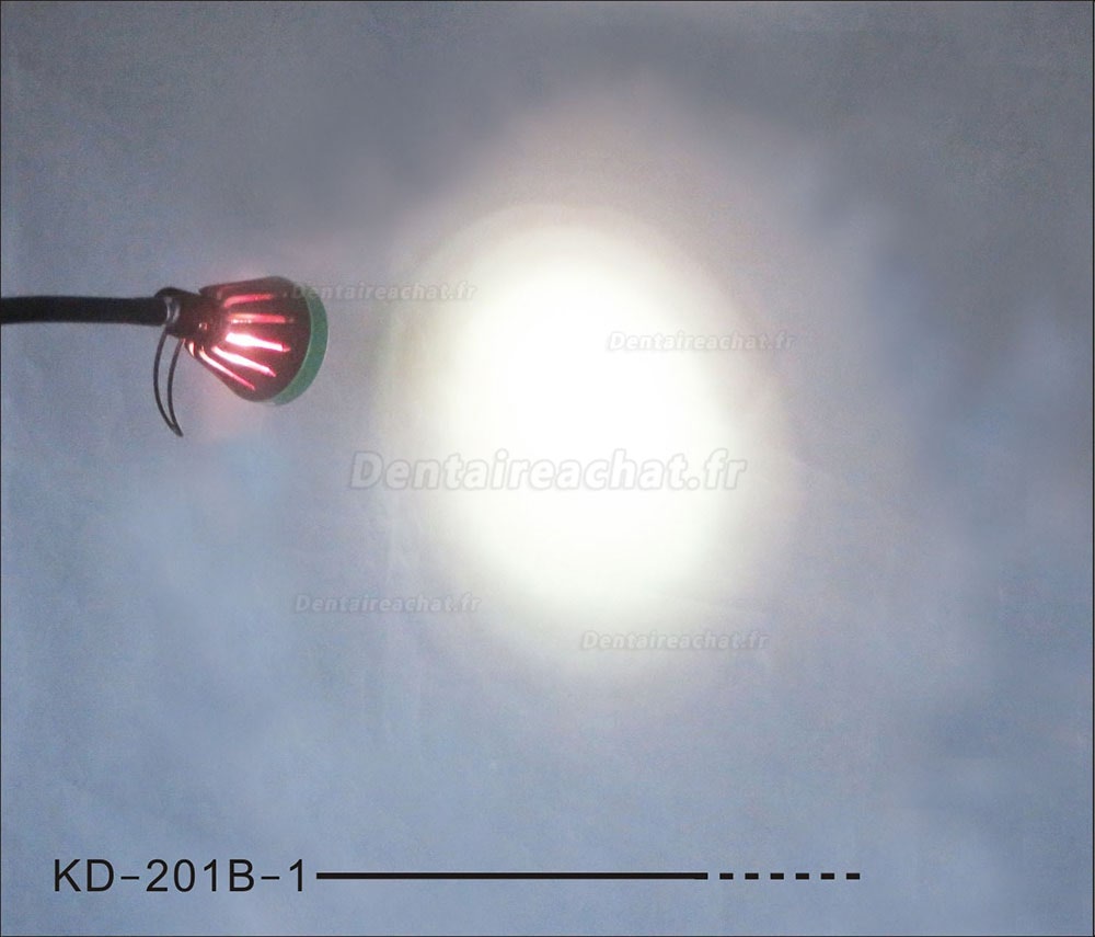KWS KD-2035W-1 Lampe d'examen médical mobile à halogène de 35W