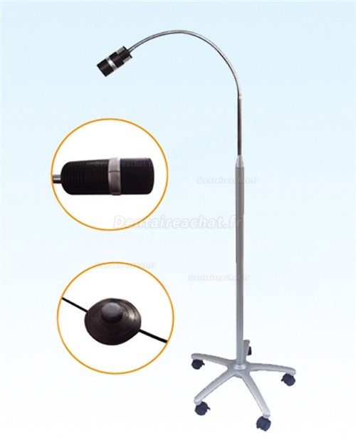 Micare® JD1100L Lampe d'examen dentiste/Lampe de diagnostic