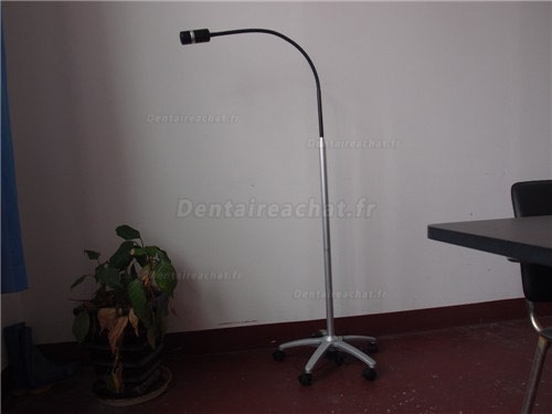 Micare® JD1100L Lampe d'examen dentiste/Lampe de diagnostic