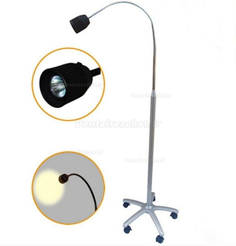 Micare JD1500 35W Lampe d'examen médicale dentaire Lampe d'examen halogène