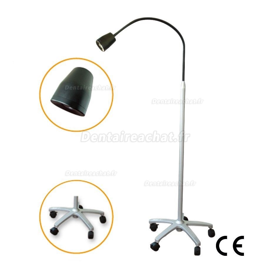 Micare JD1100 lampe d'examen dentaire médicale portative à haute luminosité