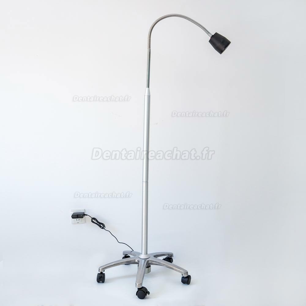 Micare JD1100 lampe d'examen dentaire médicale portative à haute luminosité