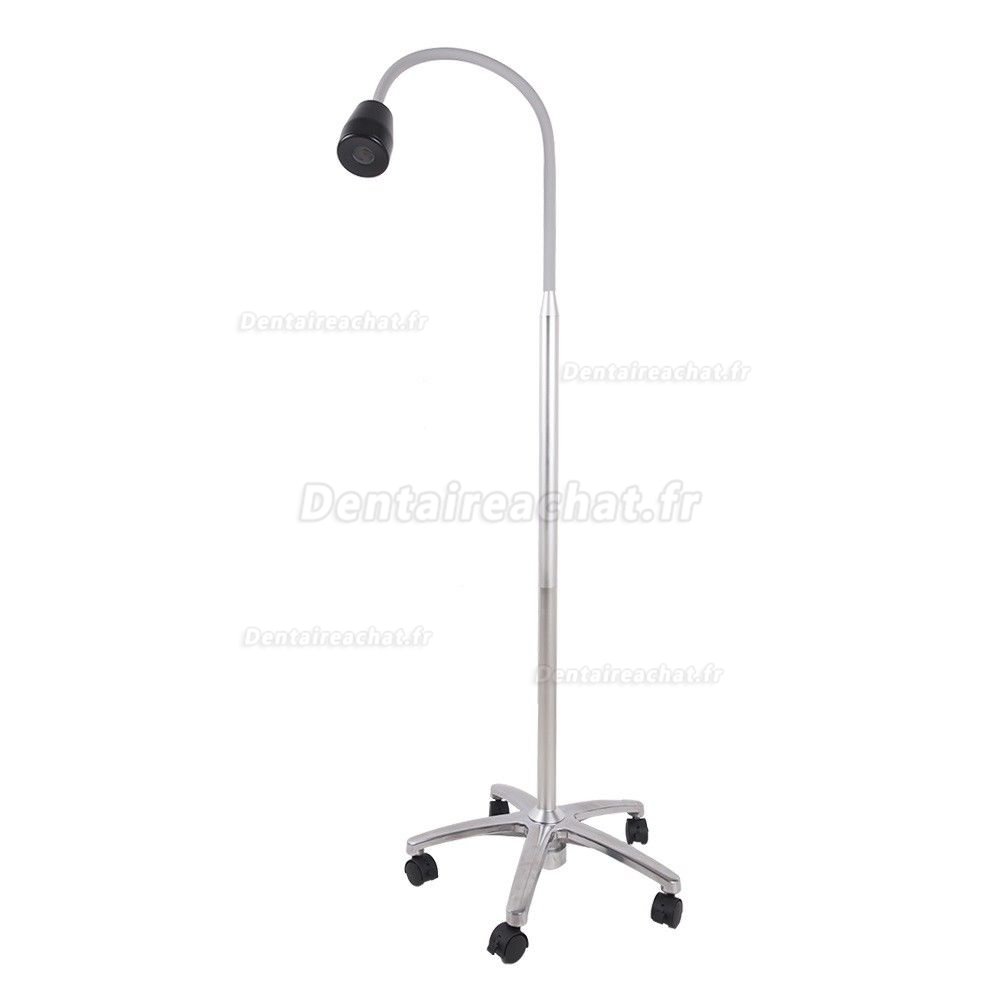 Micare JD1100 lampe d'examen dentaire médicale portative à haute luminosité