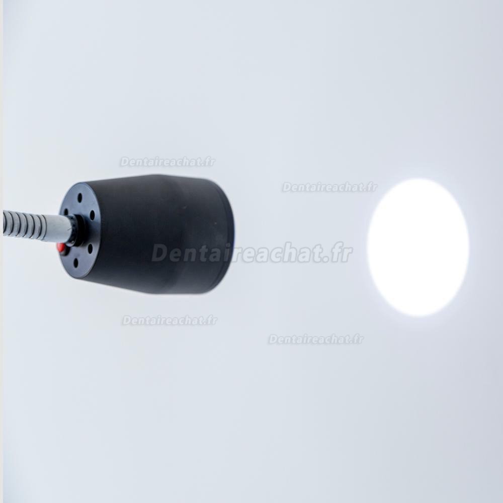 Micare JD1100 lampe d'examen dentaire médicale portative à haute luminosité