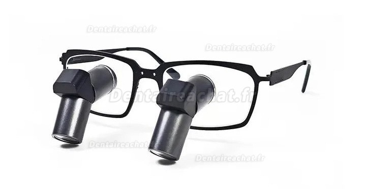 Loupes binoculaires chirurgicales dentaire Micare JENM-450X ERGO 4,5X TTL