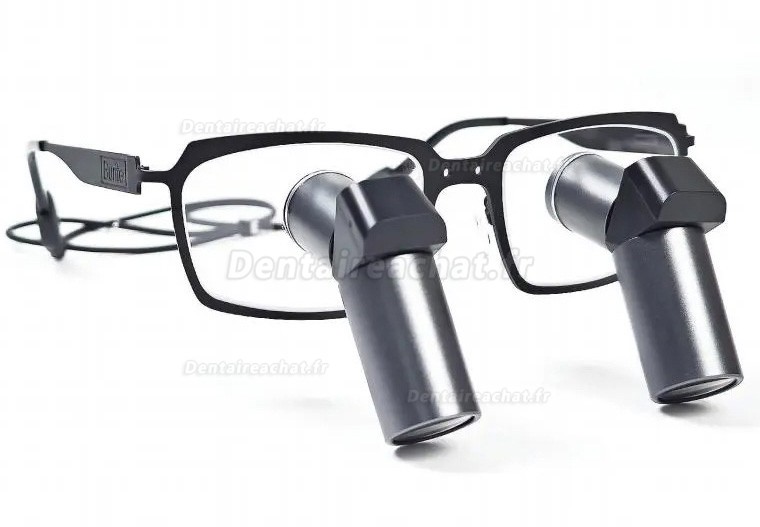 Loupes binoculaires chirurgicales dentaire Micare JENM-550X ERGO 5.5X TTL