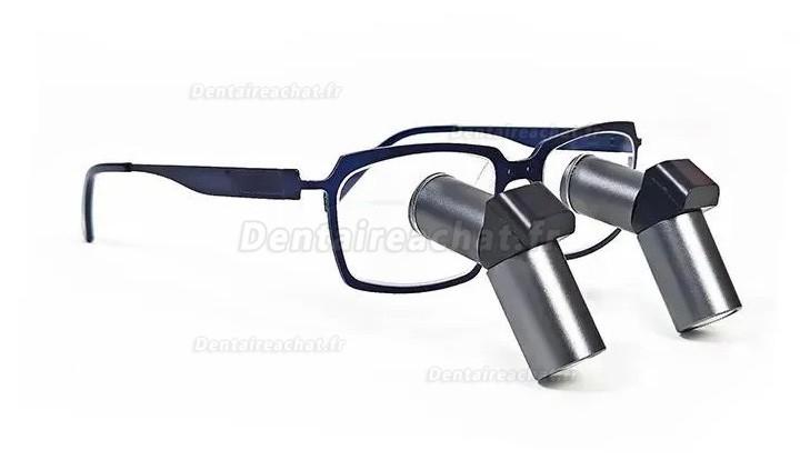 Loupes binoculaires chirurgicales dentaire Micare JENM-550X ERGO 5.5X TTL