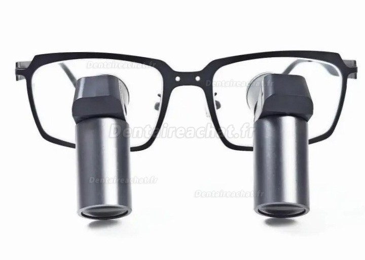 Loupes binoculaires chirurgicales dentaire Micare JENM-550X ERGO 5.5X TTL
