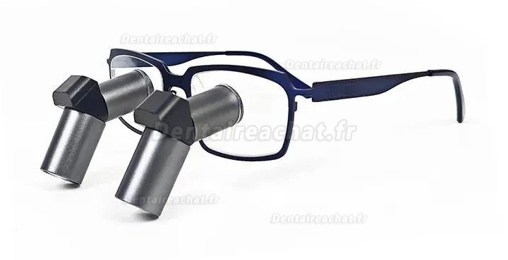 Loupes binoculaires chirurgicales dentaire Micare JENM-550X ERGO 5.5X TTL