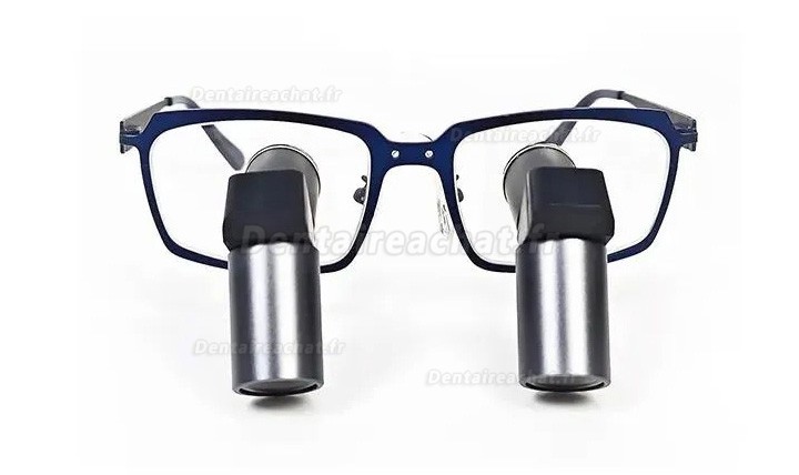 Loupes binoculaires chirurgicales dentaire Micare JENM-550X ERGO 5.5X TTL