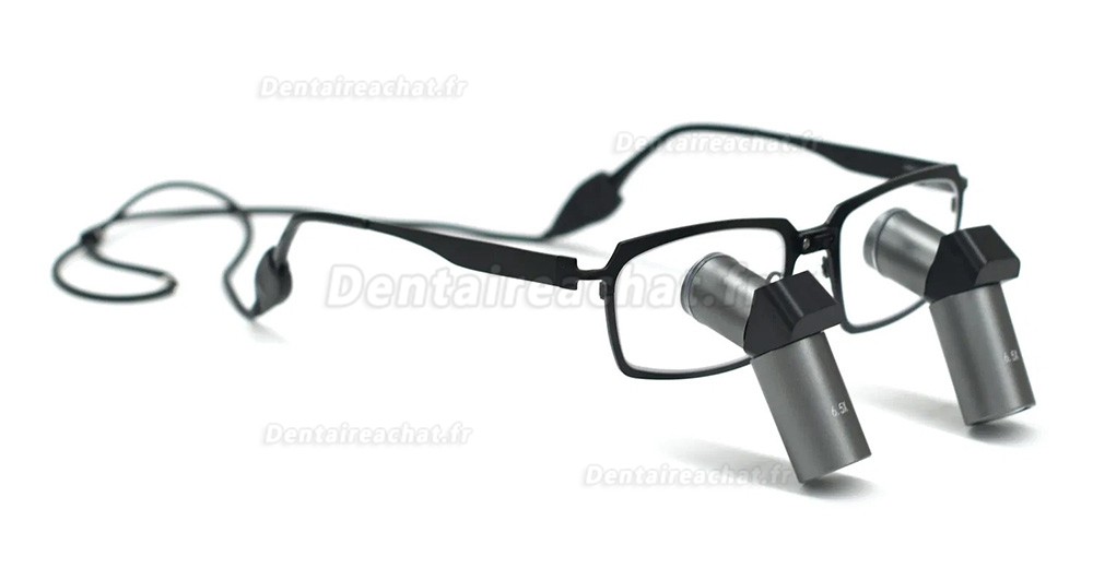 Loupes binoculaires chirurgicales dentaire Micare JENM-650X ERGO 6.5X TTL