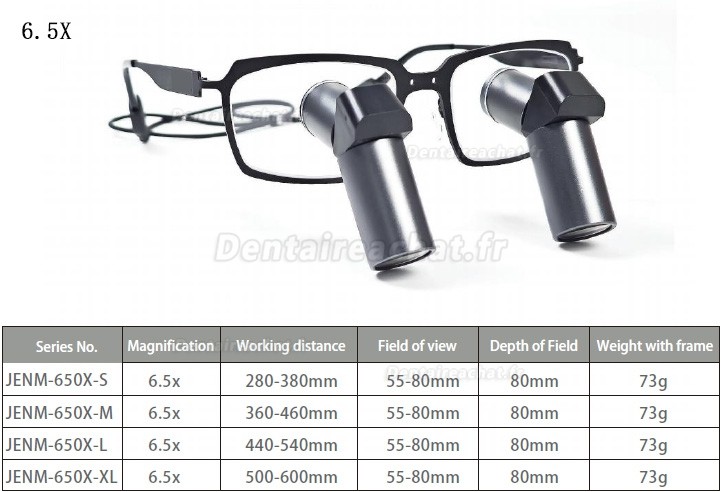 Loupes binoculaires chirurgicales dentaire Micare JENM-650X ERGO 6.5X TTL