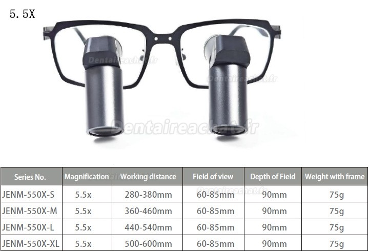 Loupes binoculaires chirurgicales dentaire Micare JENM-650X ERGO 6.5X TTL