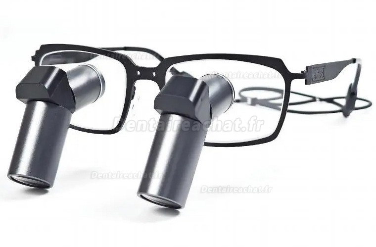 Loupes binoculaires chirurgicales dentaire Micare JENM-650X ERGO 6.5X TTL